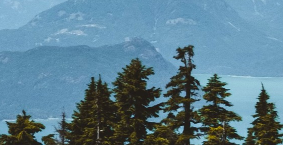 major-copper-discovery-unveiled-in-british-columbia