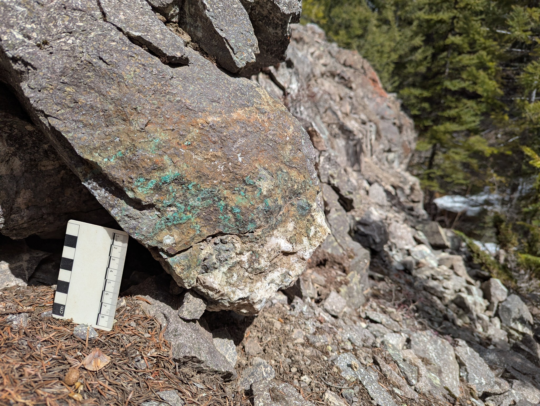 exploration-company-poised-for-new-discovery-in-british-columbia's-premier-mining-district