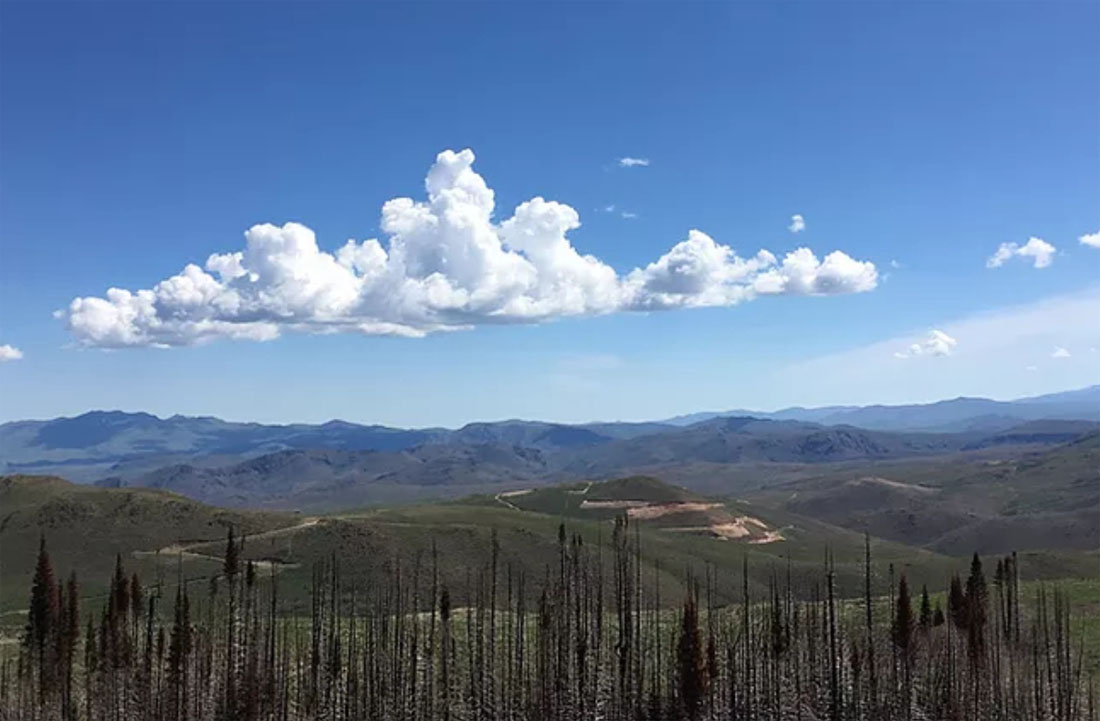 gold-explorer-finds-excellent-mineralization-at-nevada-target