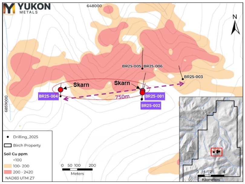 drilling-expands-near-surface-copper-gold-mineralization-at-the-birch-project