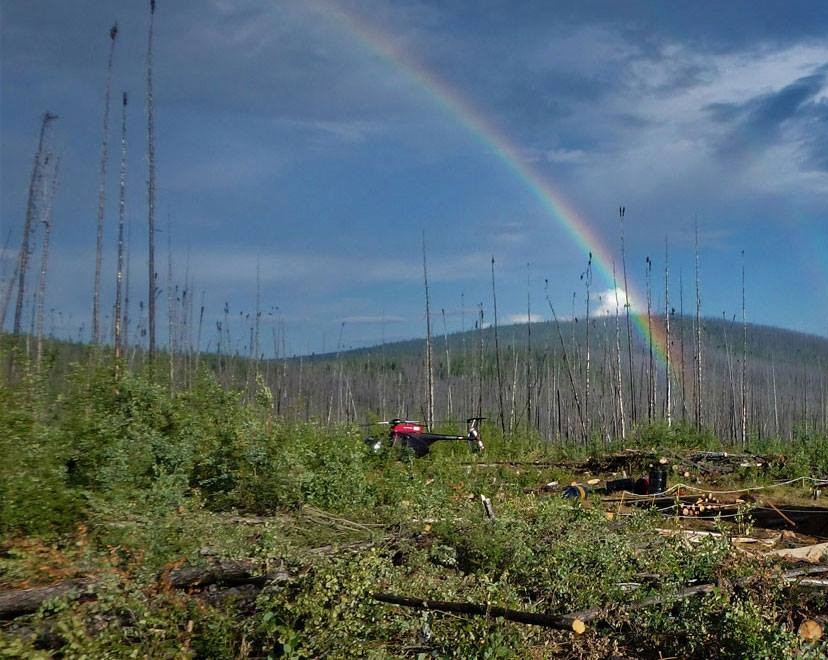 how-golden-sky's-boliden-jv-and-billionaire-backing-position-it-for-a-catalyst-rich-year