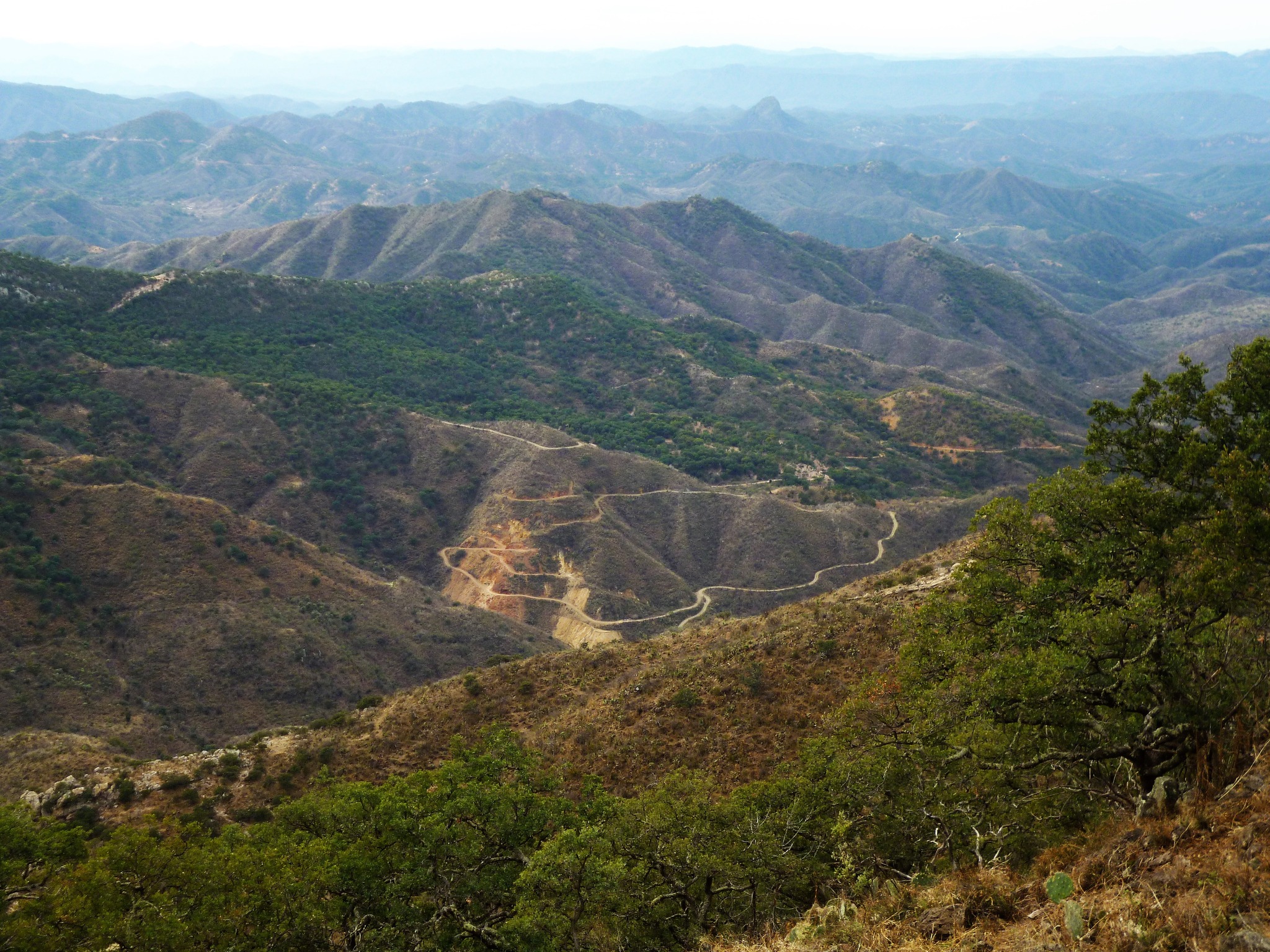 more-sulphide-bearing-breccia-hit-at-mexico-asset