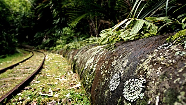 new-gold-structures,-big-grades,-and-bigger-plans-in-ontario's-next-mining-district