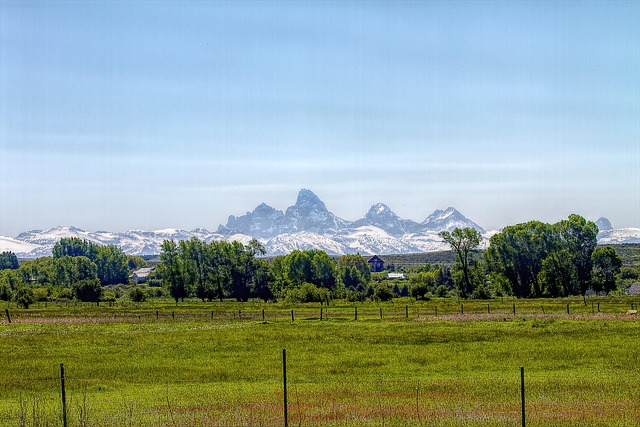 new-high-grade-gold-hits-emerge-from-idaho-as-fresh-drilling-extends-mineralization