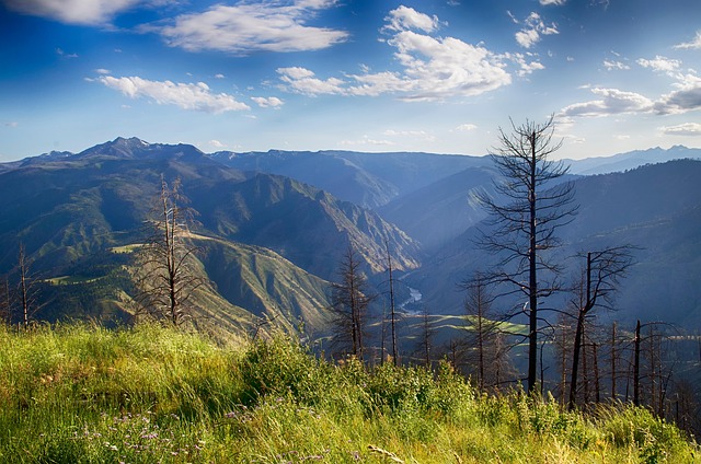 high-grade-gold-intercepts-extend-mineralized-zone-at-idaho-project