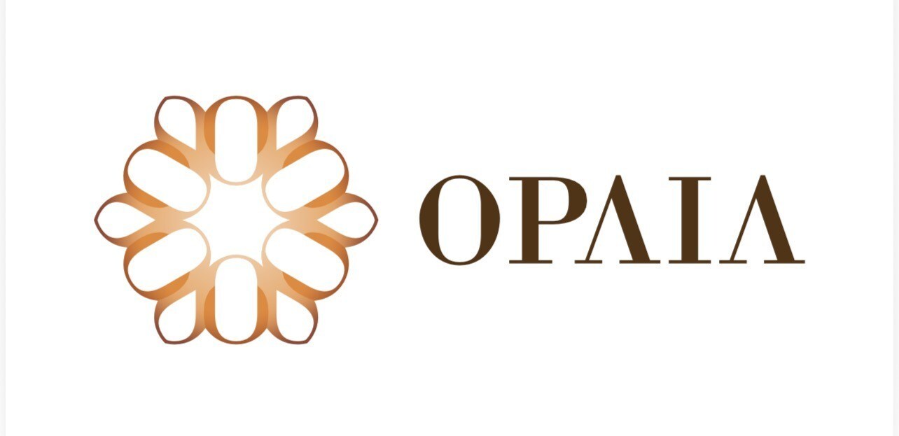opaia-launches-angola’s-only-car-assembly-plant