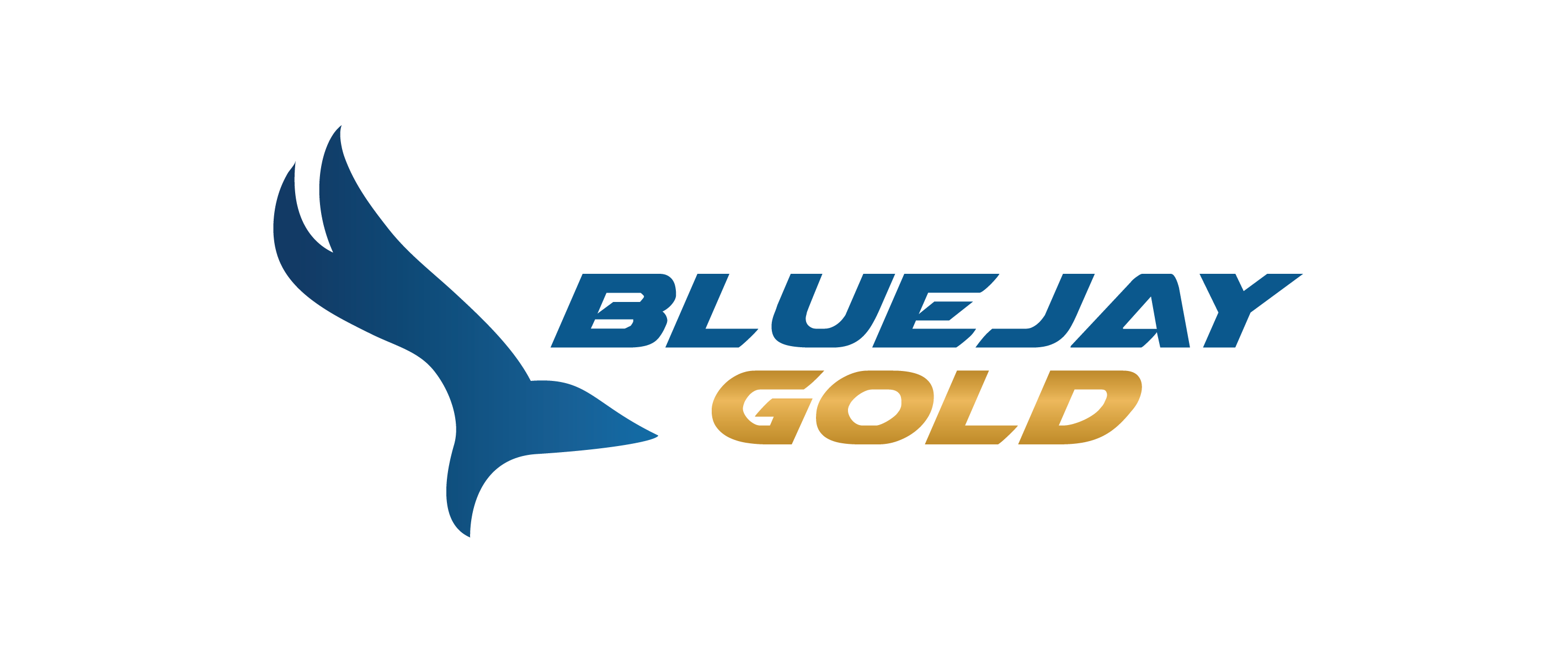blue-jay-gold-corp.-files-ni-43-101-technical-report-for-steller-gold-project