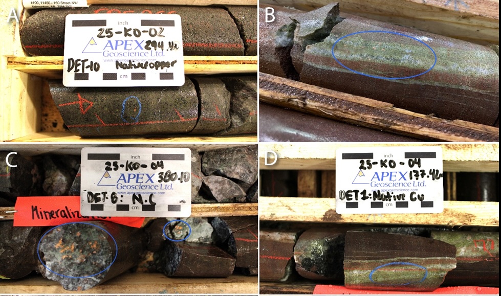 explorer-discovers-new-extensive-copper-gold-system-at-bertha-target-in-bc