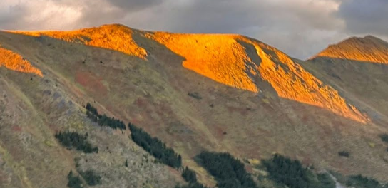 copper,-gold,-and-silver-grades-stand-out-across-multiple-zones-in-british-columbia-discovery