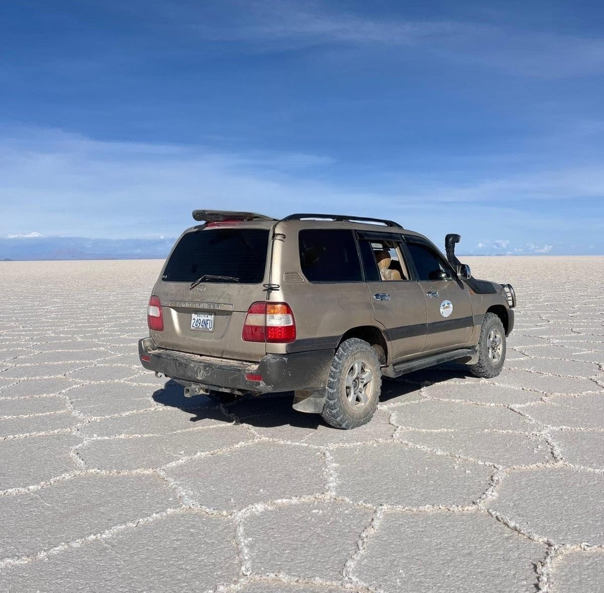 new-president,-new-policy:-bolivia’s-shift-against-lithium-protectionism