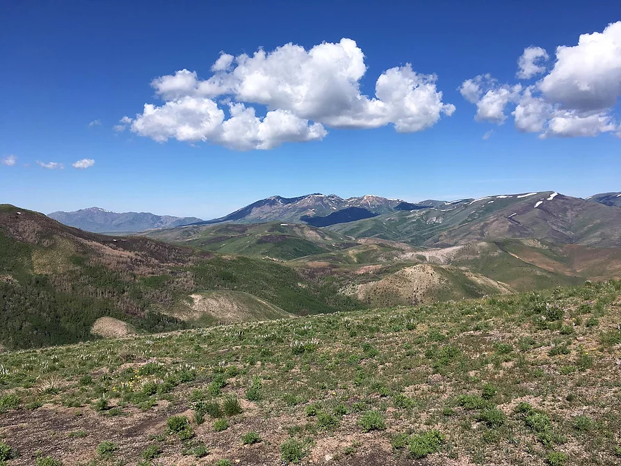 major-milestone-reached-for-gold-company's-nevada-deposit