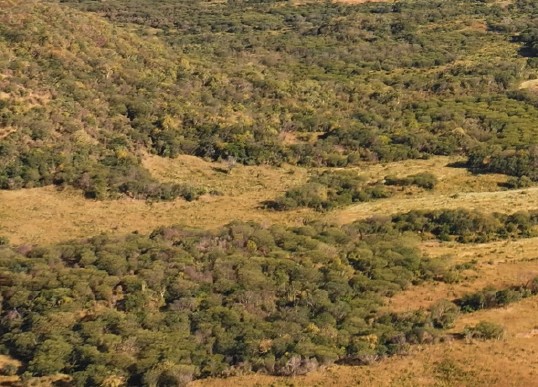 a-phase-two-copper-gold-drill-program-and-bullish-charts;-is-it-time-to-buy?