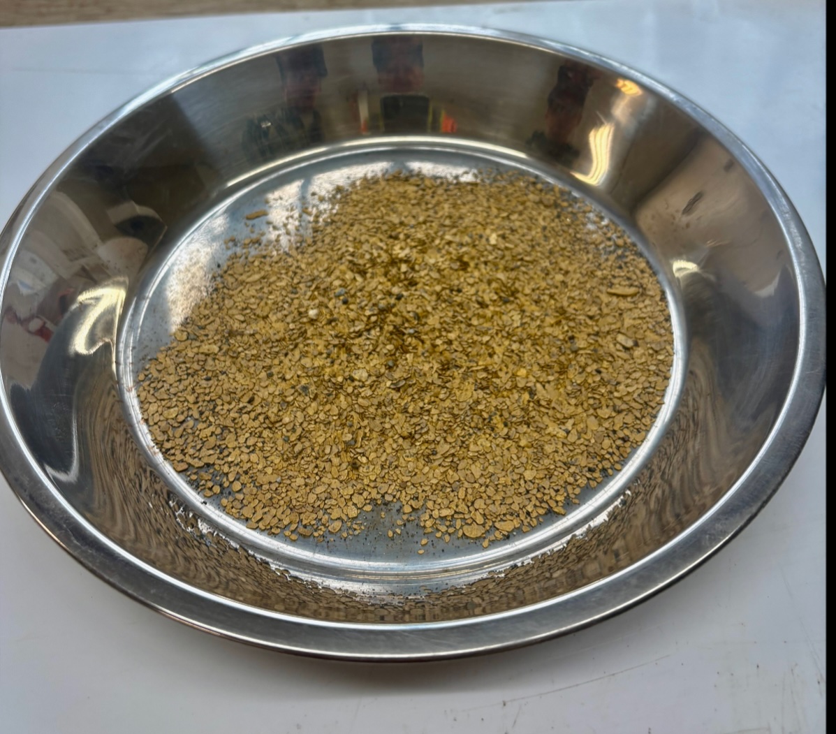 gold-miner-resumes-high-grade-placer-production-in-british-columbia