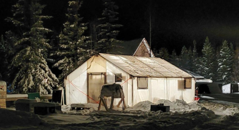 one-of-the-highest-grade-silver-hits-in-haldane-history-extends-main-fault-discovery