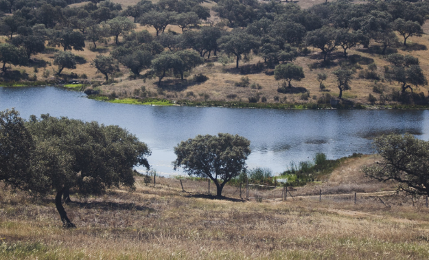 new-us-listing-brings-high-grade-polymetallic-project-into-focus