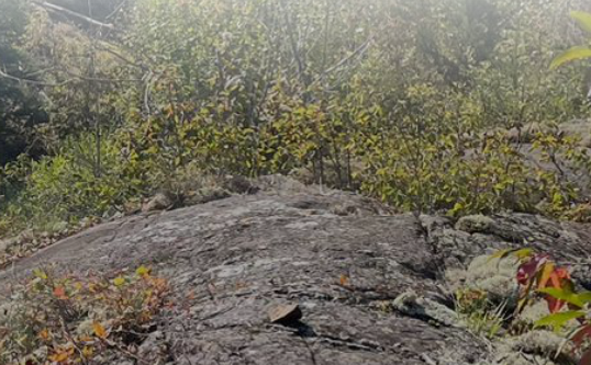 high-grade-gold-hits-in-new-footwall-zones-as-drilling-extends-a-600-meter-trend