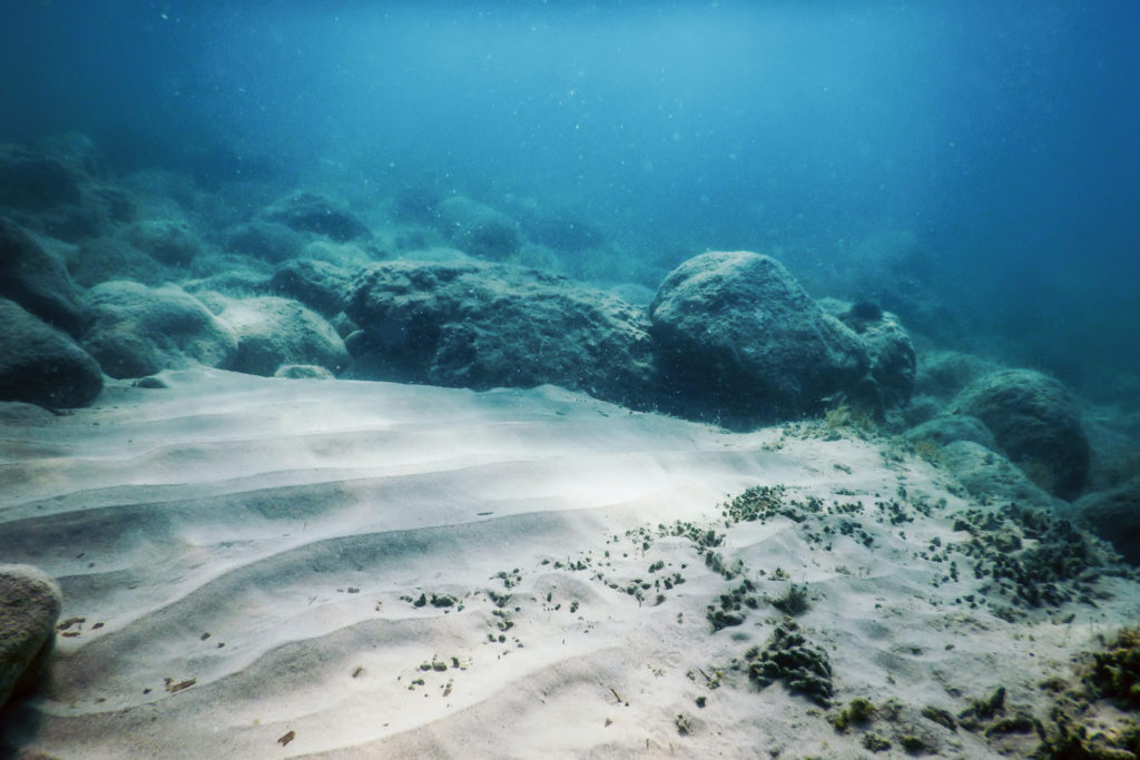 deep-sea-mining-debate-reaches-critical-global-moment